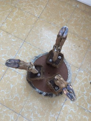 Escabel rústico de piel de cabra