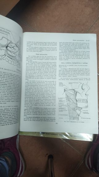 Tratado de Enseñanza Integrada de la medicina