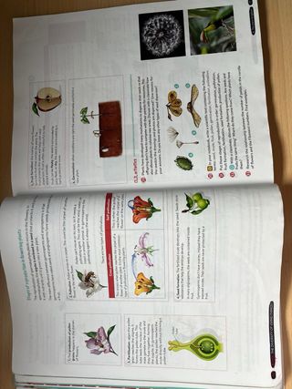 libro biology and geology 1 eso oxford