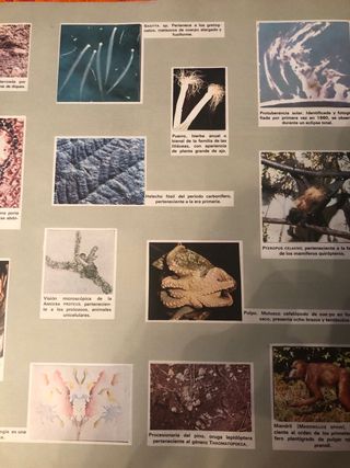 Album de cromos de ciencias antiguo
