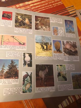 Album de cromos de ciencias antiguo