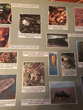 Album de cromos de ciencias antiguo