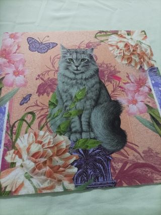 Fieltro y lana para plancha adhesiva por 2 caras