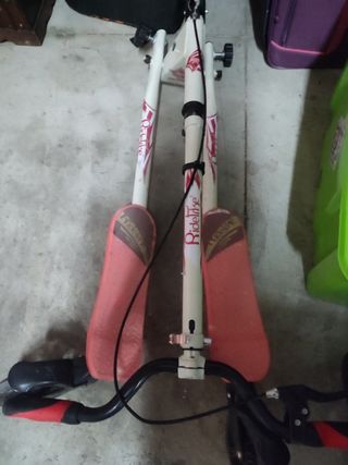Patinete doble