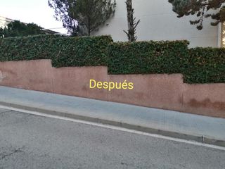 Jardinero economíco 