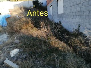 Jardinero economíco 