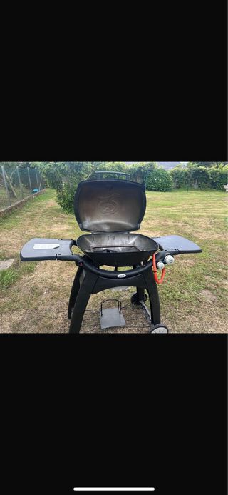 Barbacoa weber q3000