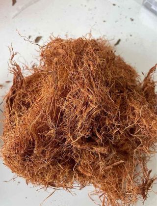 corteccia di Catechu 100g