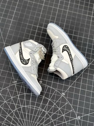 Dior x nike