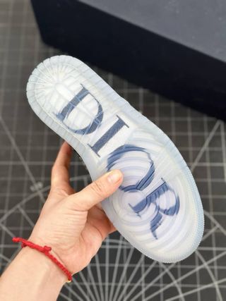 Dior x nike