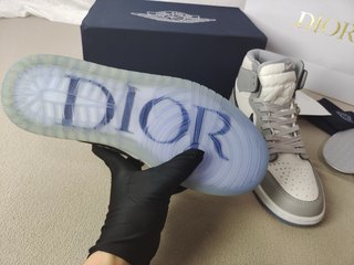 Dior x nike
