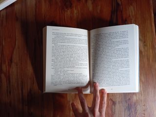 Libro Los caminantes de Carlos Sisí