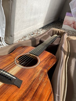 Taylor GS MINI-E Koa