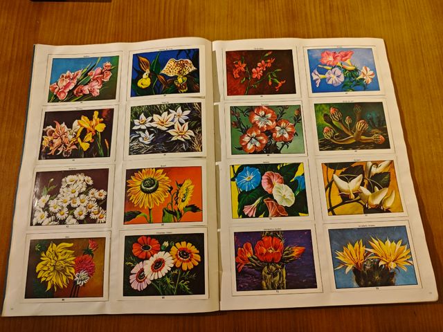 Álbum cromos ciencias naturales 1