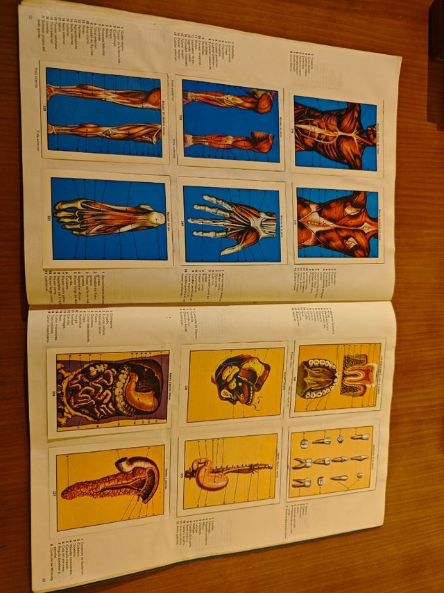 Álbum cromos ciencias naturales 1