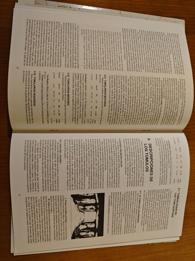 Bree y las quebradas de los tumulos. Rol