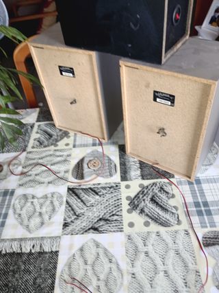 Altavoces y subwoofer