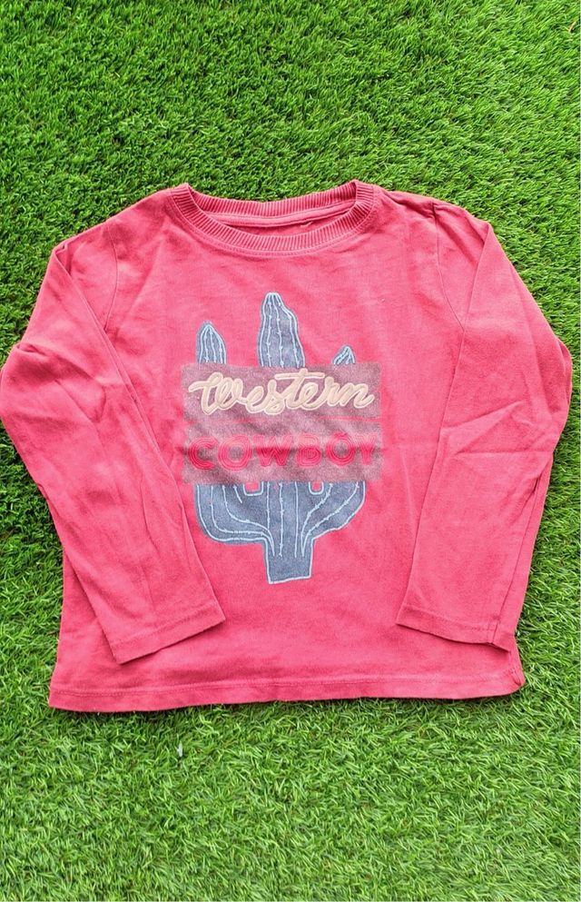 Lote 3 polos y 1 camiseta