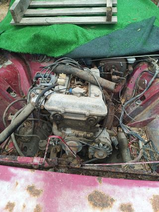 Alfetta 