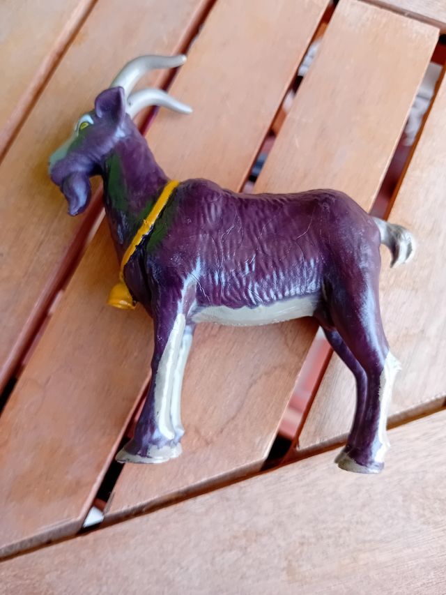 CABRA HEIDI PEDRO DE FAMOSA.