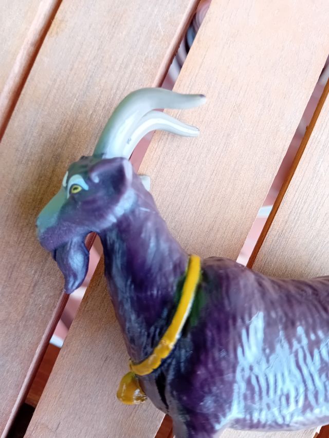 CABRA HEIDI PEDRO DE FAMOSA.