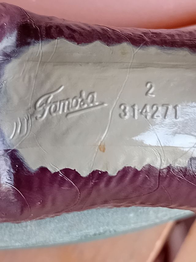 CABRA HEIDI PEDRO DE FAMOSA.