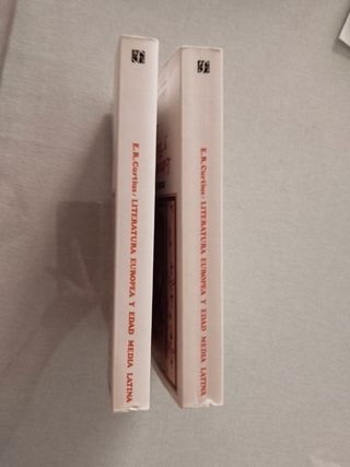 Literatura europea y Edad Media Latina.