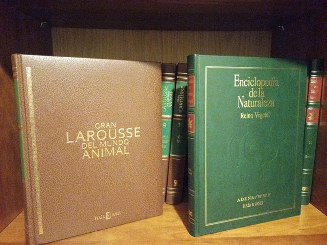 Enciclopedia Larousse