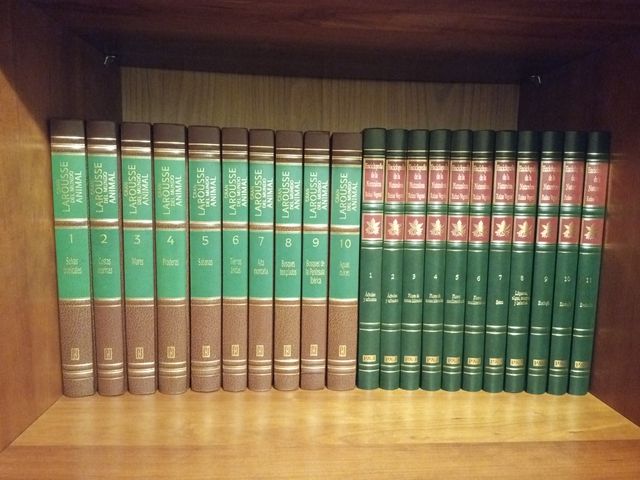 Enciclopedia Larousse