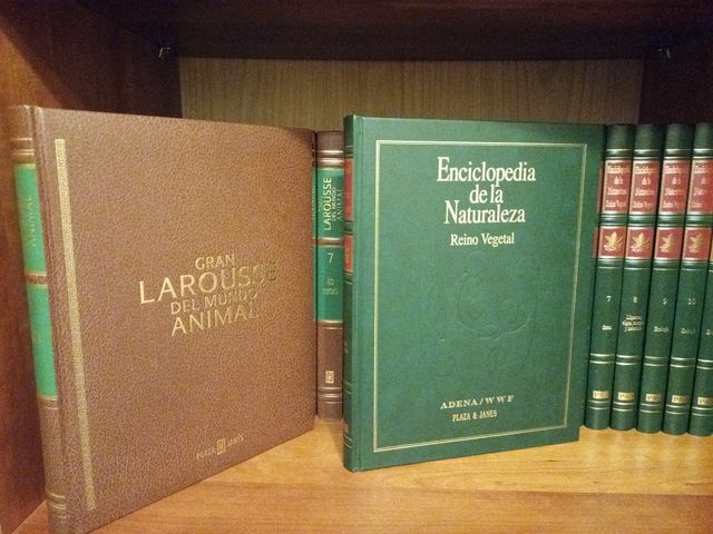 Enciclopedia Larousse