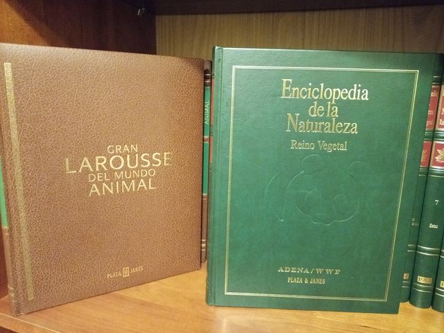 Enciclopedia Larousse