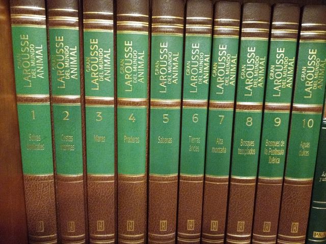 Enciclopedia Larousse