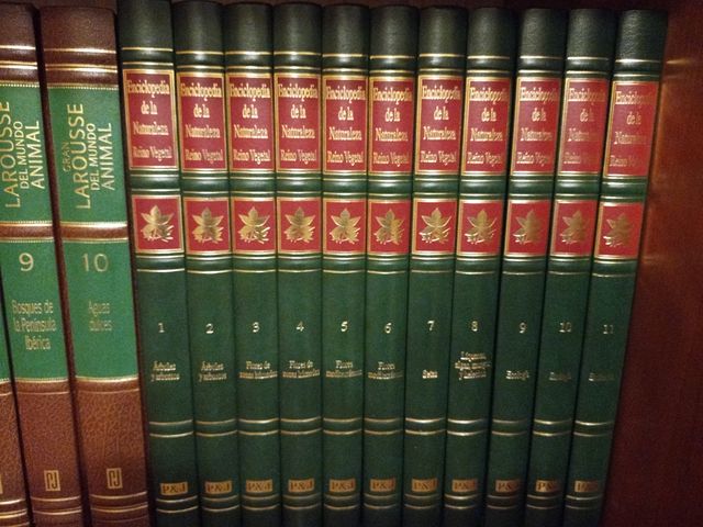 Enciclopedia Larousse