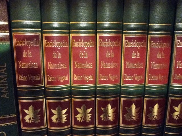 Enciclopedia Larousse