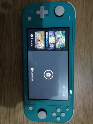 Lote Nintendo switch lite