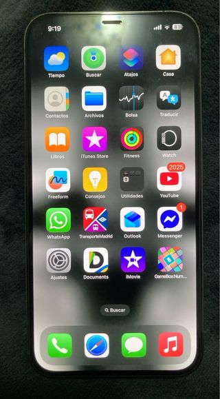 Iphone 12 pro max 256 gb