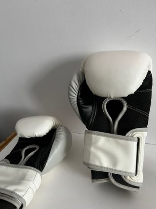 Guantes 12oz boxeo everlast