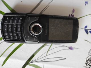 Samsung S3100