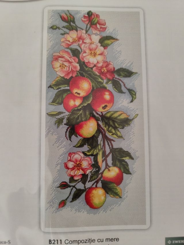 Composition with apple B211 Luca-S