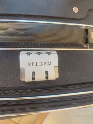 Maleta cabina con dos ruedas