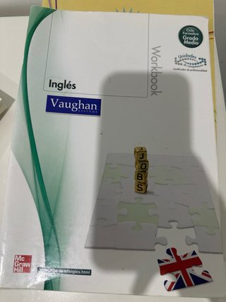 LIBRO DE INGLES DE IT (INSTITUTO COTS)
