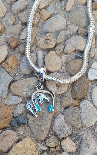 Charm Colgante Game Plata de Ley