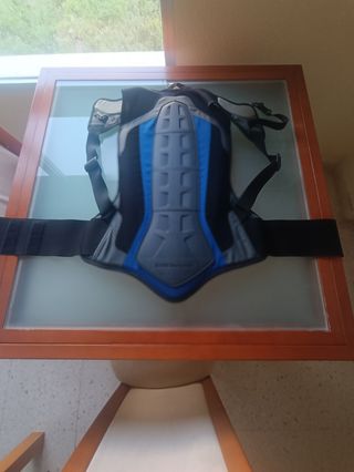 Protector espalda moto BMW 