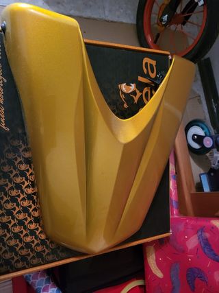 Colin honda hornet 