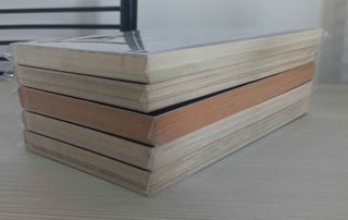 Dragonball New n°2-3-4-5-22