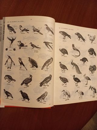 Dizionario Italiano Zingarelli