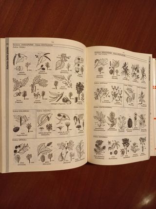 Dizionario Italiano Zingarelli