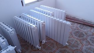 Pintor profesional económico