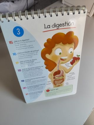 Aprender el cuerpo humano