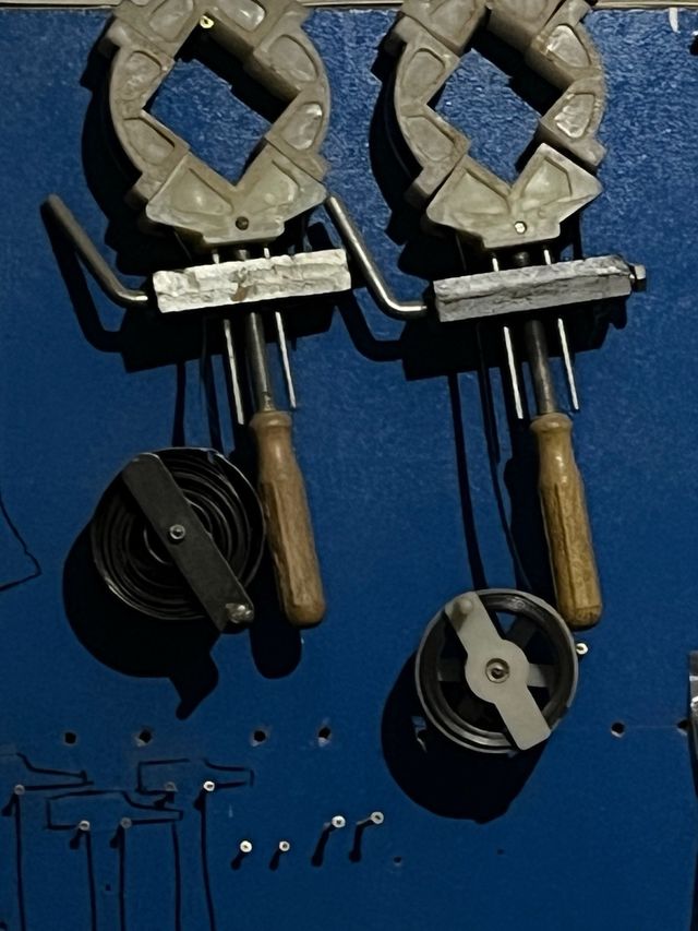 Gato fleje ,( Urge Venta).